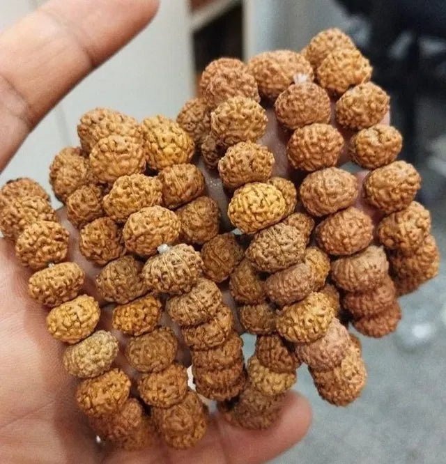 7 Mukhi Rudraksha Bracelet - General Mart