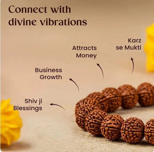 7 Mukhi Rudraksha Bracelet - General Mart