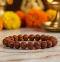 7 Mukhi Rudraksha Bracelet - General Mart