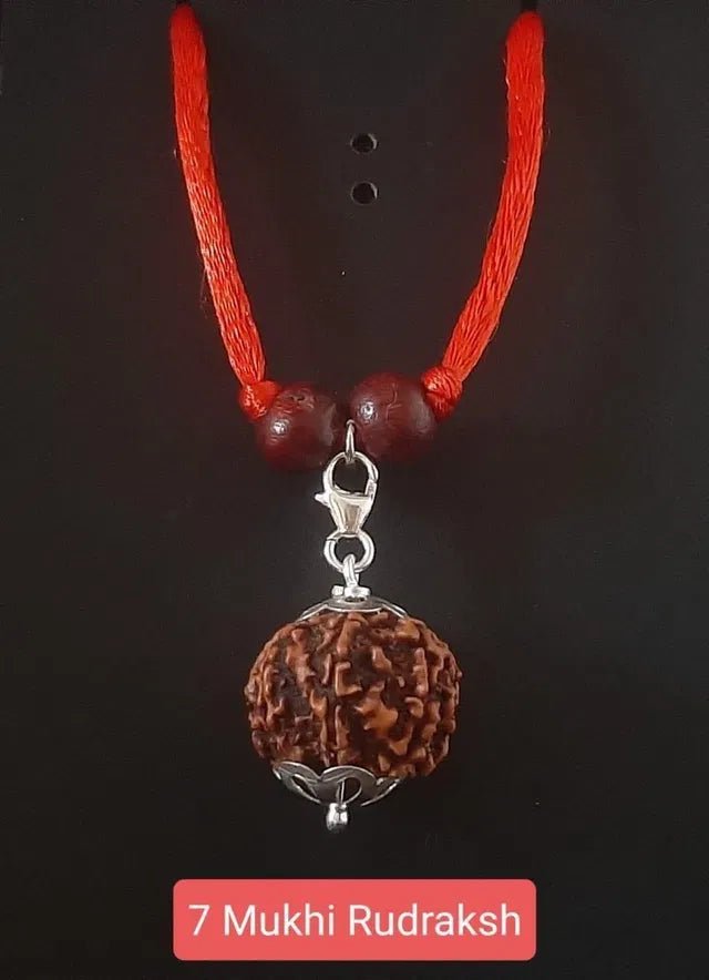 7 Mukhi Rudraksha Silver Capped Pendant - General Mart