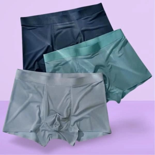 Men's Ice Silk Briefs Boxers (Pack of 2) - General Mart